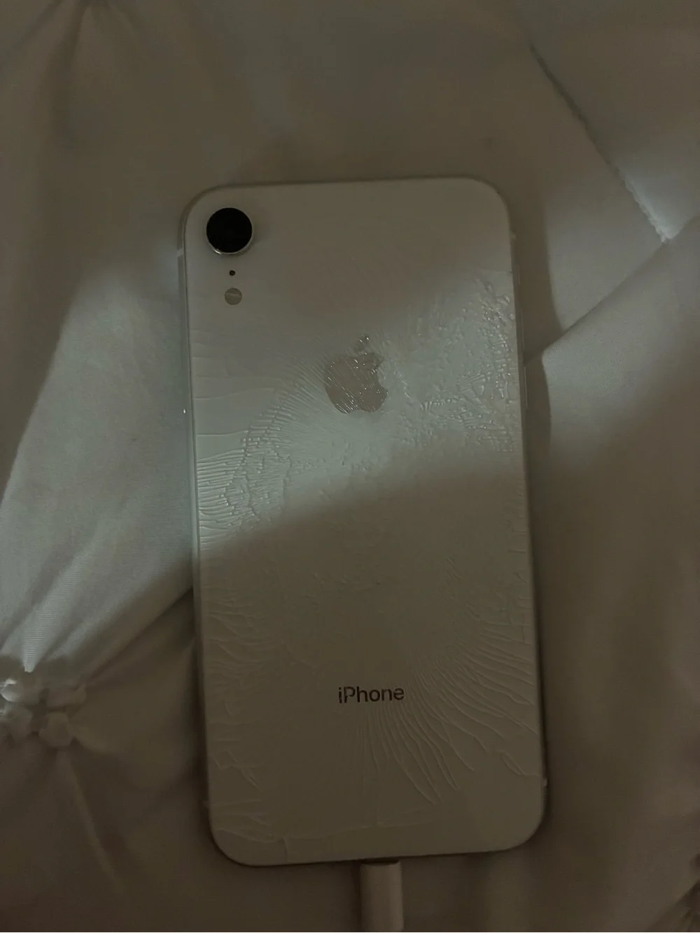 Apple back cracked